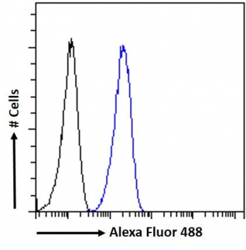FACS testing of fixed and permeabilized human HeLa cells with SEPT2 antibody (blue) at 10ug/ml and naive goat Ig (black).