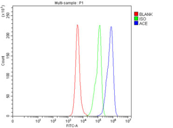 Ace Antibody Mouse RAW264.7 Cell FACS. Flow cytometry testing of fixed mouse RAW264.7 cells with Ace antibody at 1ug/million cells (blocked with goat sera); Red=cells alone, Green=isotype control, Blue= Ace antibody.