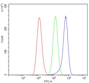 Flow cytometry testing of human A549 cells with VEGFR1 antibody at 1ug/million cells (blocked with goat sera); Red=cells alone, Green=isotype control, Blue= VEGFR1 antibody.