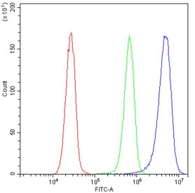 Flow cytometry testing of human HeLa cells with GSTM1 antibody at 1ug/10^6 cells (blocked with goat sera); Red=cells alone, Green=isotype control, Blue= GSTM1 antibody.