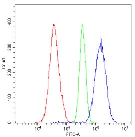 EPHA2 Antibody A549 Cells FACS. Flow cytometric analysis of human A549 cells was performed using an Eph Receptor A2 antibody at 1 ug per 10^6 cells following blocking with goat sera. EPHA2, also known as Epithelial Cell Kinase and a Receptor Tyrosine Kinase, regulates cell adhesion, migration, and growth through interactions with membrane-bound ephrin ligands. Red histogram: cells alone. Green histogram: isotype control. Blue histogram: Eph Receptor A2 antibody. The pronounced rightward shift of the EPHA2 antibody signal relative to both controls demonstrates specific detection of endogenous EPHA2 expression in A549 lung adenocarcinoma cells. Elevated EPHA2 expression has been implicated in tumor progression and therapeutic resistance in multiple cancers. These results support the utility of Eph Receptor A2 Antibody for studies of receptor tyrosine kinase signaling, cell migration, and cancer biology.