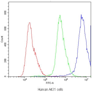 Flow cytometry testing of human A431 cells with SUR1 antibody at 1ug/10^6 cells (blocked with goat sera); Red=cells alone, Green=isotype control, Blue=SUR1 antibody.