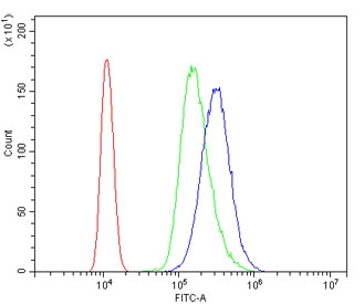 Flow cytometry testing of human U937 cells with IRAK1 antibody at 1ug/million cells (blocked with goat sera); Red=cells alone, Green=isotype control, Blue= IRAK1 antibody.