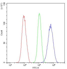 Flow cytometry testing of human U-2 OS cells with VEGF Receptor 3 antibody at 1ug/million cells (blocked with goat sera); Red=cells alone, Green=isotype control, Blue= VEGF Receptor 3 antibody.