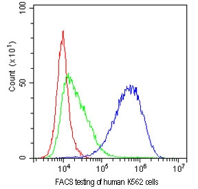 FACS testing of human K562 cells with CD81 antibody at 1ug/10^6 cells. Blue=CD81 antibody, Green=isotype control, Red=cells alone.