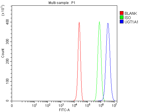 UGT1A1 Antibody / Drug Metabolism Enzyme Antibody HepG2 Flow Cytometry. Flow cytometric analysis of fixed and permeabilized human HepG2 cells using UGT1A1 Antibody / Drug Metabolism Enzyme Antibody at 1 ug/10^6 cells. Cells were fixed with 4% paraformaldehyde, permeabilized, and blocked with 10% normal goat serum prior to staining. Red: unstained cells. Green: rabbit IgG isotype control. Blue: UGT1A1 antibody. The distinct rightward shift of the UGT1A1 antibody signal relative to the isotype control demonstrates specific intracellular detection of UGT1A1 in HepG2 cells.