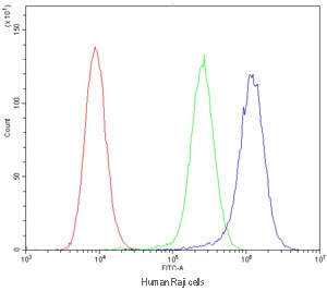Flow cytometry testing of human Raji cells with ICOS antibody at 1ug/10^6 cells (cells blocked with goat sera); Red=cells alone, Green=isotype control, Blue=ICOS antibody.