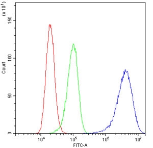 Flow cytometry testing of human A431 cells with SMC6 antibody at 1ug/10^6 cells (blocked with goat sera); Red=cells alone, Green=isotype control, Blue= SMC6 antibody.