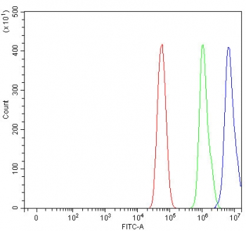 Flow cytometry testing of fixed and permeabilized human U-87 MG cells with DCK antibody at 1ug/10^6 cells (blocked with goat sera); Red=cells alone, Green=isotype control, Blue= DCK antibody.