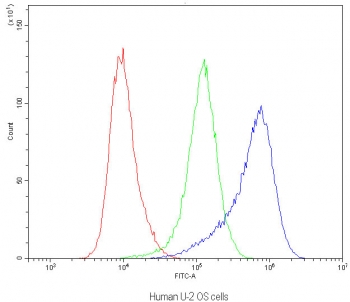 Flow cytometry testing of human U-2 OS cells with Dynamin 1 antibody at 1ug/10^6 cells (blocked with goat sera); Red=cells alone, Green=isotype control, Blue=Dynamin 1 antibody.