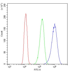 Flow cytometry testing of human A431 cells with SF1 antibody at 1ug/million cells (blocked with goat sera); Red=cells alone, Green=isotype control, Blue= SF1 antibody.