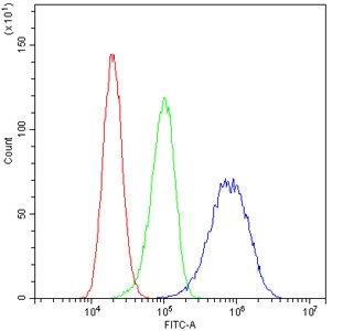 Flow cytometry testing of human A431 cells with Caspase 4 antibody at 1ug/10^6 cells (blocked with goat sera); Red=cells alone, Green=isotype control, Blue= Caspase 4 antibody.