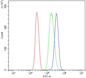 Flow cytometry testing of human U937 cells with CLPP antibody at 1ug/10^6 cells (blocked with goat sera); Red=cells alone, Green=isotype control, Blue= CLPP antibody.