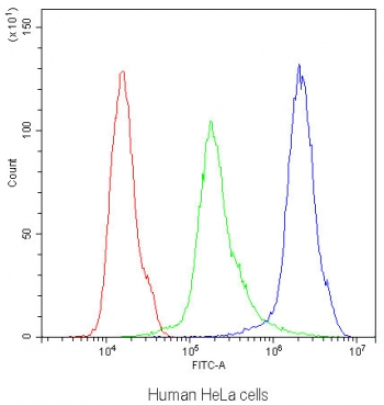 Flow cytometry testing of human HeLa cells with CB1 antibody at 1ug/10^6 cells (blocked with goat sera); Red=cells alone, Green=isotype control, Blue=CB1 antibody.