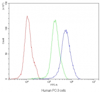 Flow cytometry testing of human PC-3 cells with SATB1 antibody at 1ug/10^6 cells (blocked with goat sera); Red=cells alone, Green=isotype control, Blue=SATB1 antibody.