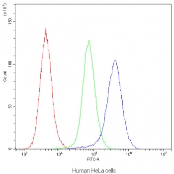 Flow cytometry testing of human HeLa cells with IDE antibody at 1ug/10^6 cells (blocked with goat sera); Red=cells alone, Green=isotype control, Blue=IDE antibody.