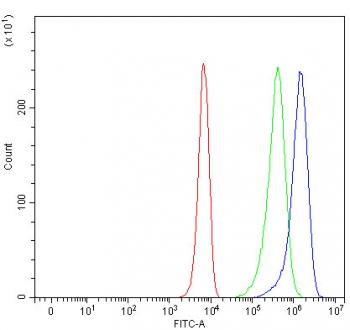 Flow cytometry testing of fixed and permeabilized human K562 cells with STAT2 antibody at 1ug/million cells (blocked with goat sera); Red=cells alone, Green=isotype control, Blue= STAT2 antibody.