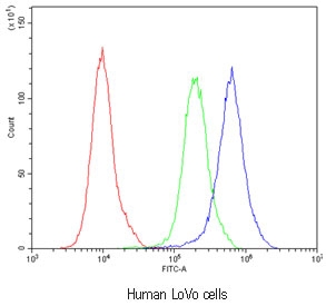 Flow cytometry testing of human LoVo cells with Bestrophin 1 antibody at 1ug/10^6 cells (blocked with goat sera); Red=cells alone, Green=isotype control, Blue=Bestrophin 1 antibody.