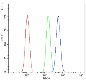 Flow cytometry testing of human A431 cells with HNRNPA2B1 antibody at 1ug/million cells (blocked with goat sera); Red=cells alone, Green=isotype control, Blue= HNRNPA2B1 antibody.