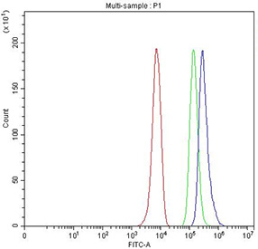 Flow cytometry testing of fixed and permeabilized human HepG2 cells with HLF antibody at 1ug/million cells (blocked with goat sera); Red=cells alone, Green=isotype control, Blue= HLF antibody.