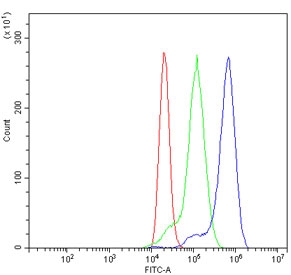 Flow cytometry testing of human ThP-1 cells with PLCG2 antibody at 1ug/million cells (blocked with goat sera); Red=cells alone, Green=isotype control, Blue= PLCG2 antibody.