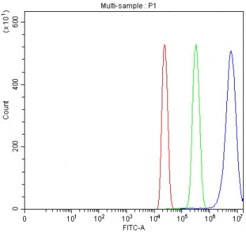 Flow cytometry testing of fixed and permeabilized human HL60 cells with Annexin VI antibody at 1ug/10^6 cells (blocked with goat sera); Red=cells alone, Green=isotype control, Blue= Annexin VI antibody.
