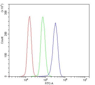Flow cytometry testing of human U937 cells with COX4I1 antibody at 1ug/million cells (blocked with goat sera); Red=cells alone, Green=isotype control, Blue= COX4I1 antibody.