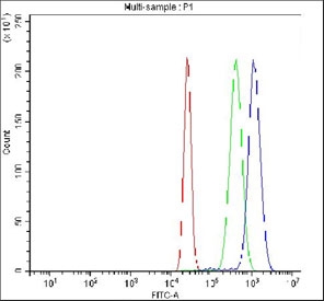 Flow cytometry testing of fixed and permeabilized human K562 cells with JUND antibody at 1ug/million cells (blocked with goat sera); Red=cells alone, Green=isotype control, Blue= JUND antibody.