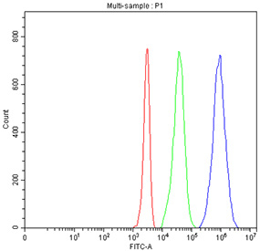 CD5 Antibody for FACS. Flow cytometry analysis of CD5 antibody staining in human Jurkat cells using a CD5 flow cytometry antibody at 1 ug per million cells following blocking with goat sera. The histogram shows a clear rightward shift of the CD5 antibody-stained population (blue) compared to the isotype control (green) and unstained cells (red), indicating strong and specific cell surface detection of CD5. This distinct population separation supports reliable identification of CD5-positive T cells and demonstrates suitability for flow cytometry and fluorescence-activated cell sorting (FACS) applications in immune cell profiling.