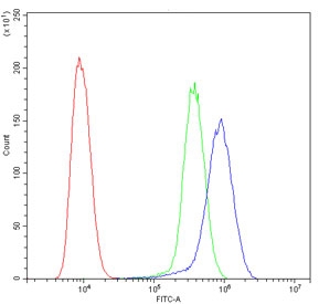 Flow cytometry testing of human HeLa cells with GSTM1 antibody at 1ug/10^6 cells (blocked with goat sera); Red=cells alone, Green=isotype control, Blue= GSTM1 antibody.