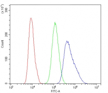 Flow cytometry testing of human U-2 OS cells with HSP70 antibody at 1ug/10^6 cells (blocked with goat sera); Red=cells alone, Green=isotype control, Blue= HSP70 antibody.