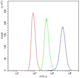 Flow cytometry testing of human Raji cells with ARSA antibody at 1ug/10^6 cells (blocked with goat sera); Red=cells alone, Green=isotype control, Blue= ARSA antibody.
