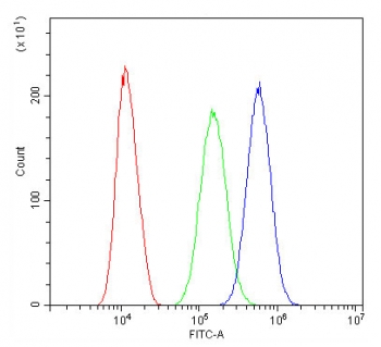 Flow cytometry testing of human SiHa cells with Beta Catenin antibody at 1ug/10^6 cells (blocked with goat sera); Red=cells alone, Green=isotype control, Blue= Beta Catenin antibody.