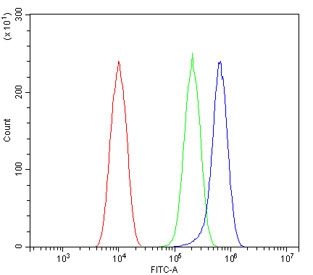 Flow cytometry testing of human U-2 OS cells with P Glycoprotein antibody at 1ug/million cells (blocked with goat sera); Red=cells alone, Green=isotype control, Blue= P Glycoprotein antibody.