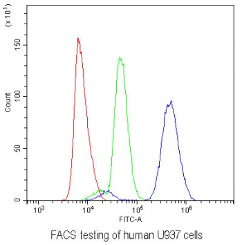 AHR Antibody U937 Cells FACS. Flow cytometric analysis of human U937 cells was performed using an AHR antibody at 1 ug per 10^6 cells following blocking with goat sera. AHR, also known as Aryl Hydrocarbon Receptor and an Environmental Sensor Protein, is a ligand activated transcription factor that regulates xenobiotic metabolism, inflammatory signaling, and immune cell differentiation. Red histogram: cells alone. Green histogram: isotype control. Blue histogram: AHR antibody. The substantial rightward shift of the AHR antibody signal relative to both controls demonstrates specific detection of endogenous AHR expression in U937 monocytic cells. These findings are consistent with the established role of AHR in myeloid cell function and immune homeostasis. These results support the utility of AHR Antibody for studies of immunology, environmental sensing, and signal transduction pathways.