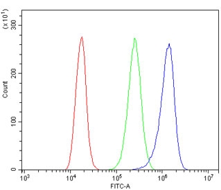 CDH3 Antibody A431 Cell FACS. Flow cytometry analysis of human A431 cells using CDH3 Antibody / Cadherin 3 Antibody. Cells were blocked with goat serum and incubated with the primary antibody at 1 ug/million cells. The blue histogram represents CDH3 antibody staining, while green represents isotype control and red represents unstained cells. Clear positive signal separation supports the use of CDH3 Antibody / Cadherin 3 Antibody for analyzing Cadherin 3 protein expression, epithelial cell adhesion markers and cell surface receptor expression by flow cytometry.