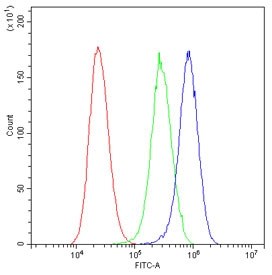 Flow cytometry testing of human U-2 OS cells with GM130 antibody at 1ug/10^6 cells (blocked with goat sera); Red=cells alone, Green=isotype control, Blue= GM130 antibody.
