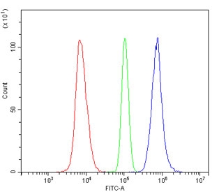 Flow cytometry testing of human Raji cells with HMGN2 antibody at 1ug/million cells (blocked with goat sera); Red=cells alone, Green=isotype control, Blue= HMGN2 antibody.