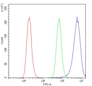 Flow cytometry testing of human A431 cells with SHIP2 antibody at 1ug/million cells (blocked with goat sera); Red=cells alone, Green=isotype control, Blue= SHIP2 antibody.