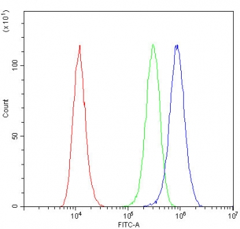 Flow cytometry testing of fixed and permeabilized human U-87 MG cells with NOVA1 antibody at 1ug/million cells (blocked with goat sera); Red=cells alone, Green=isotype control, Blue= NOVA1 antibody.