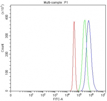 Flow cytometry testing of fixed and permeabilized human Jurkat cells with TRAC antibody at 1ug/10^6 cells (blocked with goat sera); Red=cells alone, Green=isotype control, Blue= TRAC antibody.