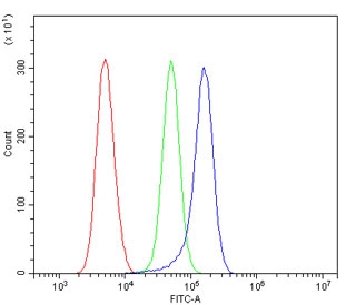 Flow cytometry testing of human ThP-1 cells with TRPM7 antibody at 1ug/million cells (blocked with goat sera); Red=cells alone, Green=isotype control, Blue= TRPM7 antibody.