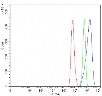 Flow cytometry testing of fixed and permeabilized human HeLa cells with COL3A1 antibody at 1ug/million cells (blocked with goat sera); Red=cells alone, Green=isotype control, Blue= COL3A1 antibody.