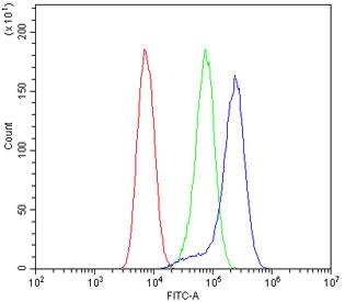 Flow cytometry testing of human U-2 OS cells with CYP19A1 antibody at 1ug/10^6 cells (blocked with goat sera); Red=cells alone, Green=isotype control, Blue= CYP19A1 antibody.
