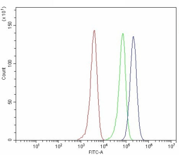 Flow cytometry testing of fixed and permeabilized human MCF7 cells with DIS3 antibody at 1ug/million cells (blocked with goat sera); Red=cells alone, Green=isotype control, Blue= DIS3 antibody.