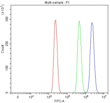 Flow cytometry testing of human HL60 cells with Grancalcin antibody at 1ug/million cells (blocked with goat sera); Red=cells alone, Green=isotype control, Blue= Grancalcin antibody.