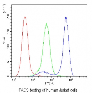 Flow cytometry testing of human Jurkat cells with CD229 antibody at 1ug/10^6 cells (blocked with goat sera); Red=cells alone, Green=isotype control, Blue= CD229 antibody.