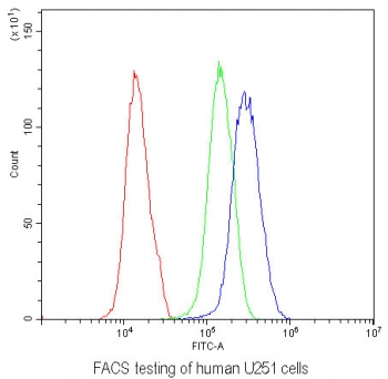 Flow cytometry testing of human U251 cells with MOG antibody at 1ug/10^6 cells (blocked with goat sera); Red=cells alone, Green=isotype control, Blue= MOG antibody.
