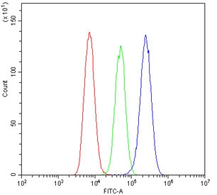 Flow cytometry testing of human U-87 MG cells with PCDH15 antibody at 1ug/10^6 cells (blocked with goat sera); Red=cells alone, Green=isotype control, Blue= PCDH15 antibody.