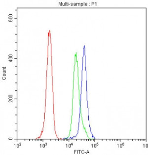 CD87 Antibody Human Immune Cell FACS. Flow cytometric analysis of human peripheral blood mononuclear cells (PBMCs) using CD87 Antibody. Cells were blocked and detected with a fluorescently conjugated secondary antibody. CD87 Antibody, recognizing uPAR/PLAUR, demonstrates a clear positive shift compared to isotype control, confirming CD87 expression on immune cell populations and supporting its use for studying immune activation, leukocyte migration, and uPAR-mediated inflammatory signaling.